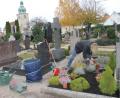 Bild: ads
Ursula Amann hat das ganze Jahr über Freude am Friedhofsbesuch und an der Grabpflege, insbesondere an Allerheiligen. Für das Ehepaar Amann ist der Friedhof ein Ort der Ruhe und der Einkehr.
