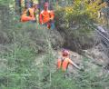 Bild: es
Nicht ungefährlich, aber wertvoll für Fauna und Flora ist in diesem Fall die Arbeit der Baumsteiger.