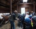 Bild: axs
Die Kinder der 2.Klasse der Grundschule Bärnau besuchten den Erlebnisbauernhof der Familie Fischer in Naab. Gemeinsam mit Petra Fischer erkundeten sie dabei auch den Kuhstall.