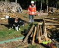 Bild: gf
Ist der Vermisste, der unter hergefallenen Holzscheiten begraben ist, gefunden, zeigt der Rettungshund das auch an: Er bellt. Dann muss die Hundeführerin den Rettungskräften den genauen Standort melden.