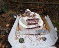 Bild: exb
Eine dreistöckige Cremetorte fand eine Waldsassenerin im Wald bei Pechtnersreuth.