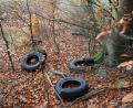 Bild: frd
Im Waldstück an der Gemeindeverbindungsstraße Gleiritsch-Zeinried hat ein Umweltfrevler fünf Autoreifen entsorgt. Die Gemeinde wird nun Anzeige erstatten.