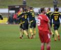 Bild: ref
Grafenwöhrer Jubel nach dem 1:1-Ausgleich durch David Dobmann.