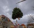 Bild: tr
Nicht einmal fünf Minuten schwebte der Christbaum über dem Marktplatz. Die komplette Aufstellungsaktion nahm gerade mal 45 Minuten in Anspruch, was einem seit Jahren bewährten Team zu verdanken ist.
