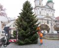 Bild: kgg
Die Bauhof-Mitarbeiter Gerhard Burger und Hubert Thoma beim Montieren der Christbaumbeleuchtung.