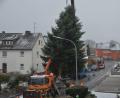 Bild: dob
Mit Hilfe des Kranwagens der Firma Rank aus Weiden schwebt die stattliche Tanne aus dem Gartengrundstück von Sonja Spiller auf den städtischen LKW und wird vor das Rathaus transportiert. Dort erfreut der Baum die Herzen in der Advents- und Vorweihnachtszeit.