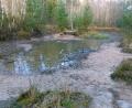 Bild: rn
Der regenarme Sommer machte die kleine Wasserfläche am Walderlebnispfad zu einer Pfütze. Das bei Kindern geschätzte und beliebte Floß lag auf Grund.