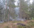 Bild: wro
Einen Waldbrand löscht die Feuerwehr am Mittwochnachmittag in der Nähe von Seidlersreuth.