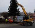 Bild: buc
Der Tannenbaum steht am Tillyplatz.