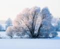 Bild: Johannes Kreiner
Winter in der Oberpfalz.