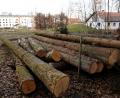 Bild: ge
Aus Sicherheitsgründen mussten einige Bäume im Süden des Areals gefällt werden – sie waren teilweise nicht mehr standsicher. Hier werden ab dem Frühjahr die neuen Gebäude und Parkplätze entstehen.