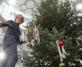 Bild: Gabi Schönberger
Peter Rogler dekoriert den Weihnachtsbaum der BHS in Weiherhammer in den Trendfarben rot-weiß.
