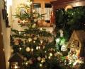 Bild: fvo
Die Aufnahme stammt vom letzten Jahr: Elisabeth Kodalle vor ihrer Schrankkrippe kurz nach Weihnachten. Die Szene zeigt das Jesuskindlein in der Krippe.