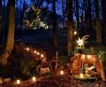 Bild: Gerhard Götz
Ein idyllisches Ambiente bietet "Advent im Wald" am Eulenberg.