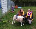 Bild: Ingrid Mallmann
Die Tierheim-Mitarbeiterinnen Jenny und Meli mit dem schließlich doch noch eingefangenen Schaf Sally.