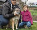 Bild: Petra Hartl
Mischling Rambo mit Nadine Graf und ihrem Töchterchen Lea. Der Hund erholt sich langsam von dem verstörenden Vorfall.