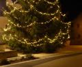 Bild: jow
Der prachtvolle Christbaum auf dem Dorfplatz in Lintach mit der neuen LED Lichterkette.