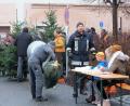 Bild: wlr
Am laufenden Band wandern die Christbäume in die Verpackungsnetze. Vorsitzender Wilhelm Wittmann legt selbst Hand an, um die Exemplare für die Auslieferung vorzubereiten.