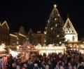 Bild: Wolfgang Steinbacher
Der Christbaum auf dem Amberger Marktplatz ist heuer 14 Meter hoch.