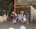 Bild: mmj
Alpakas, Pony und Hund beeindruckten beim gespielten Adventkalender vor der rustikalen Kulisse beim Christbaum am Rathaus.
