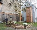 Bild: Schönberger
Freunde vom Weidener "Sündikat" schaufelten die Grube für den Walnussbaum in Neuhaus aus. Nach dem Einsetzen mittels Autokran bringen Profis ihn in die richtige Position.