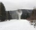 Bild: exb
Schnee liegt zwar schon am Wurmstein, aber leider noch nicht genug, um Ski zu fahren.