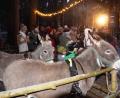 Bild: oe
Die Esel aus Kotzheim sind Stammgäste
bei der Waldweihnacht. Von den Kindern erhielten sie
viele liebevolle Streicheleinheiten.