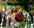 Bild: Jens Kalaene/dpa
Ein kleines rotes Geschenkpaket als Weihnachtsbaumanhänger und Lametta hängen an einem Weihnachtsbaum.