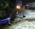 Bild: Portner
Der Wagen des Unfallverursachers blieb in der Böschung der Teunzer Kreuzung hängen. Die zwei Insassen wurden mittelschwer verletzt.