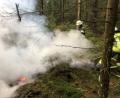 Bild: Feuerwehr Weiden
Ein ausgedehnter Torfbrand ruft die Feuerwehr im Waldgebiet zwischen Weiden und Parkstein auf den Plan.