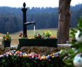 Bild: Tatjana Sichelstiel
In Sinnleithen stand im Jahr 2018 einer der vielen sehenswerten und liebevoll dekorierten Osterbrunnen der Region.