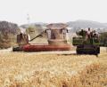 Bild: exb
Drei Generationen auf einem Feld: in Pleisdorf (Windischeschenbach) im Landkreis Neustadt/WN rücken im Juli drei Landwirte mit Mähdreschern aus verschiedenen Jahrzehnten aus.