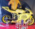 Bild: nib
Frank Claussner aus Högling mit seinem Motorrad und den Pokalen des Jahres 2018. Der Lohn für eine erfolgreiche Saison war der Meistertitel