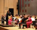 Bild: stg
Das Orchester „Virtuosi Brunenses“ unter der Stabführung von Yura Yang glänzt nicht nur mit Strauß, sondern auch mit Klassikern der italienischen Oper.