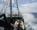 Bild: Friedhold Ulonska/dpa
Ein Schiff von Sea-Eye vor der Küste Libyens.