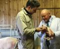 Bild: jrh
Schweinchen Schlau will zurück zur Mama, da können Landwirt Florian Kleierl (links) und BBV-Bezirkspräsident Josef Wutz noch so schlau auf es einreden.