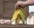 Bild: Armin Weigel/dpa
Ob Bananenschalen oder Tannenzweige, Teebeutel oder Reste vom Mittagessen: In der Tonne mit dem braunen Deckel ist Bioabfall gut aufgehoben.
