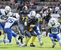 Bild: Hubert Ziegler
Der Kampf ums „Ei“ beginnt für die Mad Bulldogs (dunkle Trikots) Mitte April. Für die neue Saison in der American-Football-Landesliga bekommen die Amberger ordentlich Zuwach