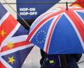 Bild: Dominic Lipinski/PA Wire/dpa
Anti-Brexit-Demonstranten stehen vor dem Parlament in London mit einer Fahne und einem Schirm. Die Entscheidungen der Briten wirken sich auch auf die Oberpfalz aus.