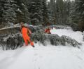 Bild: exb
Mitarbeiter des Forstbetriebs Fichtelberg räumen Schneebruch-Bäume von der Ringloipe am Ochsenkopf.