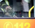 Bild: Florian Büh/dpa
Mit einer Sauerstoffmaske beatmen Feuerwehrmänner eine gerettete Katze nach einem Brand in einem Mehrfamilienhaus im Stadtteil Wandsbek.