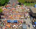 Bild: Karin Wilck
Jedes Jahr ein bisschen größer. 2013 startete der Nofi-Lauf direkt vor dem Verlagshaus.