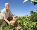 Bild: Hirsch
"Wachsen oder weichen". Vor diese Alternative werden immer mehr Landwirte gestellt.