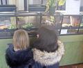 Bild: jma
Neugierig stehen die Kinder vor den geschlossenen Terrarien.