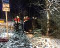 Bild: Feuerwehr Auerbach
Die Auerbacher Feuerwehr im Einsatz am Unfallort.