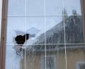 Bild: piam
Durch berstendes Fensterglas wurde eine Anwohnerin auf die Einbrecher aufmerksam.