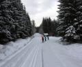 Bild: mor
Eine verschneite Winterlandschaft und ein gut gespurtes Loipennetz bietet sich den Langläufern im Hessenreuther Wald. Die Zufahrt zum Aspann ist von der Pressather Seite auch frei.