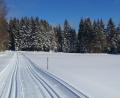 Bild: Werner Schuster
Nach den Schnefällen ist die Langlaufloipe im Steinwald gespurt.