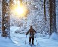 Bild: ind
Ein Wintertraum - eine Schneehschuhwanderung rund um den Buchberg (Schnaittenbach).