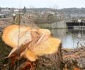 Bild: Gabi Schönberger
Der Düker ist baufällig. Dank ihm kann die Waldnaab den Flutkanal unterqueren. Für die Baustelle musste das Wasserwirtschaftsamt etwa 100 Bäume roden. Deshalb beschwert sich der Bund Naturschutz - etwas zu spät.